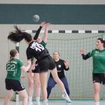 20220403_095326000_iOS